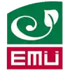 Eesti Maaulikooli