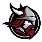 Bethany Lutheran Vikings