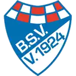 Brinkumer SV