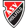 ASV Hollfeld