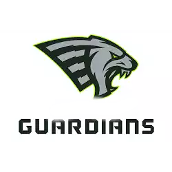 Гардианс Селекшн