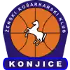 Конице (жен)