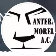 Пантерас Морелос