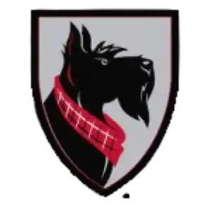 Carnegie Mellon Tartans (Women)