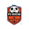 Kochi City
