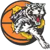 Đội bóng rổ nữ Willetton Tigers