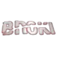 Broki