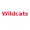 Đội Wildcats (Thanh niên)