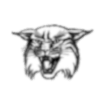 Lake Norman Wildcats (Women)