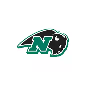 Nichols Bison