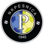 Технотим Песнича