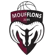 Moufflons (Femenino)