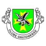 Gavionenses