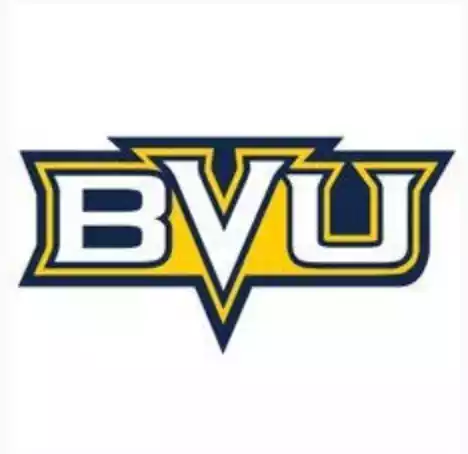 Beavers Buena Vista