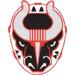 Birmingham Bulls