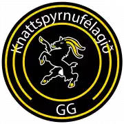GG Grindavik U19