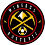 Minerul Costesti