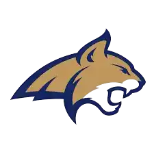 Монтана Стэйт Бобкэтс