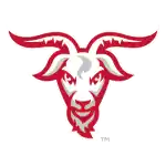 Worcester Polytechnic Engineers