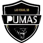 Пумас