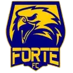 Forte FC ES U20
