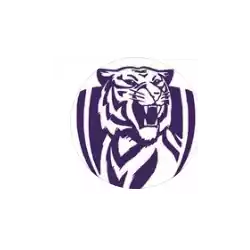 Ujpest-MT U20