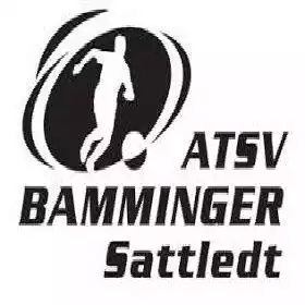 АТСВ Баммингер Заттледт