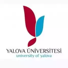 Университет Ялова