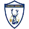 Toronto Awaba Stags