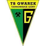 TS Gwarek Tarnowskie Gory
