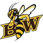Baldwin Wallace Yellow Jackets