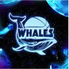 Whales Hanoi (Nữ)