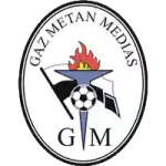 Gaz Metan