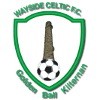 Wayside Celtic