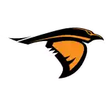 Anderson Ravens