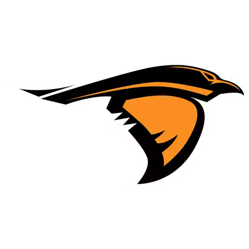 Anderson Ravens (Women)
