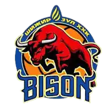 Nalaikh Bison