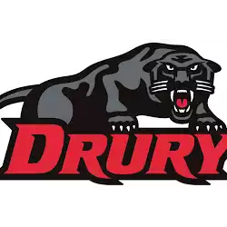 Đại học Drury Panthers