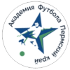 Academy Perm