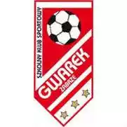 Gwarek Zabrze U18