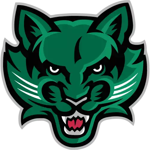 Đội bóng Binghamton Bearcats