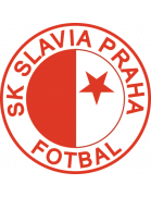 Slavia Prague B vs FK Kraluv Dvur 13.08.2023 at CFL 2023/24, Football