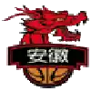 Anhui Wenyi