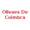 Olivais De Coimbra U19 (Women)