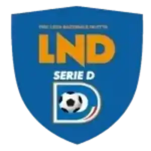 Rappresentativa Serie D Viareggio Team