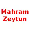 Mahram Zeytun U19