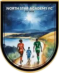 Норт Стар Академи