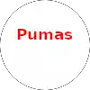 Pumas