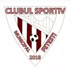 Csm Fetesti