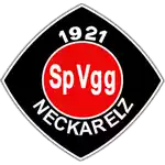 SpVgg Neckarelz